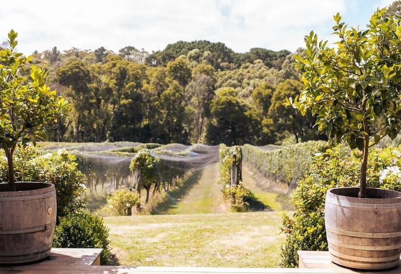 住宿加早餐 Quattro At Mantons Creek