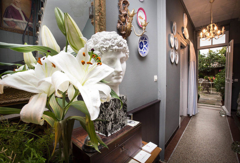 Carcassonne Bed And Breakfast