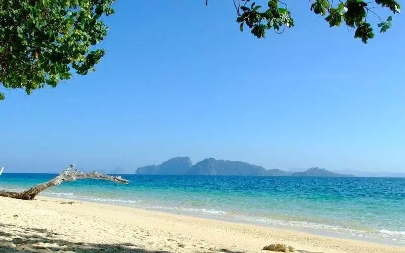 Coral Garden Resort