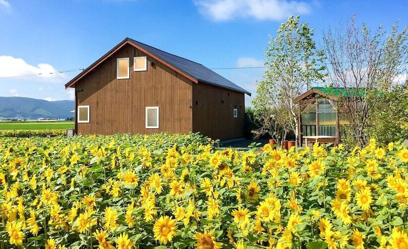 Country Cottage Wakiaiai