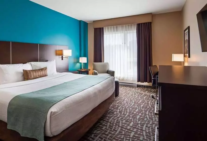 Best Western Plus Hotel Montreal