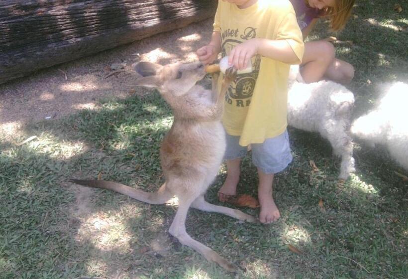 Отель Daintree Wild Bed & Breakfast