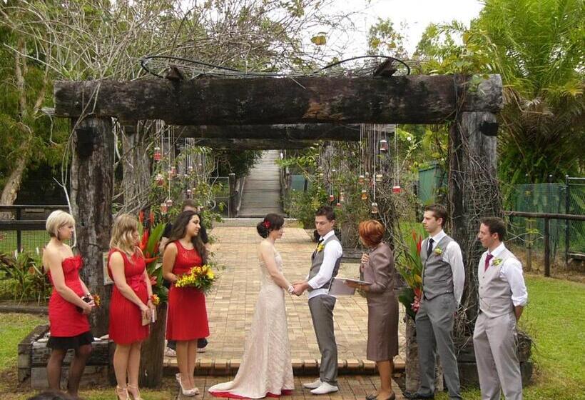 Отель Daintree Wild Bed & Breakfast