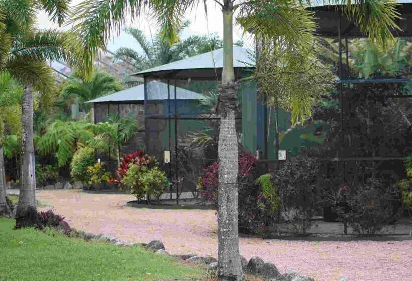 Отель Daintree Wild Bed & Breakfast