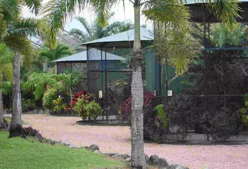 ホテル Daintree Wild Bed & Breakfast