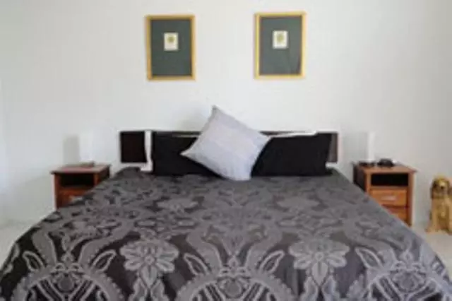 ホテル Daintree Wild Bed & Breakfast