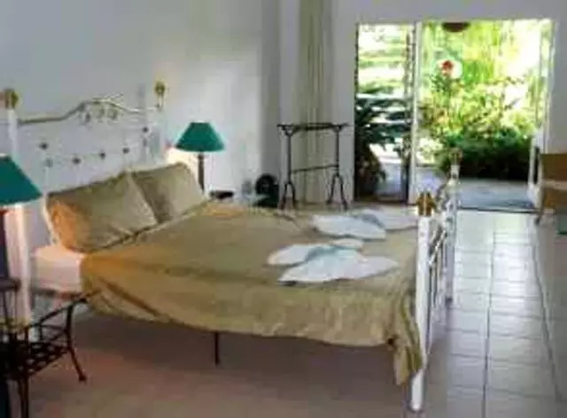 ホテル Daintree Wild Bed & Breakfast