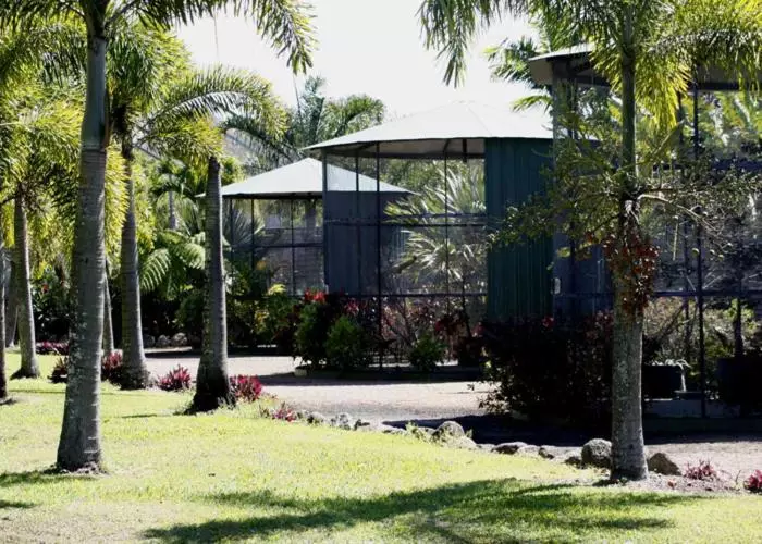 ホテル Daintree Wild Bed & Breakfast