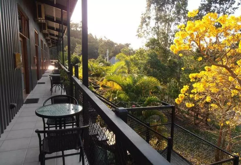 ホテル Daintree Wild Bed & Breakfast