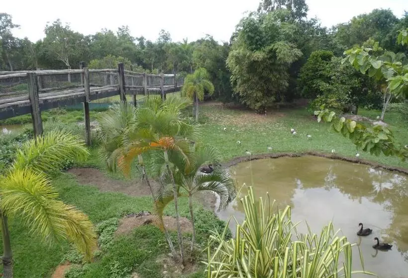 ホテル Daintree Wild Bed & Breakfast