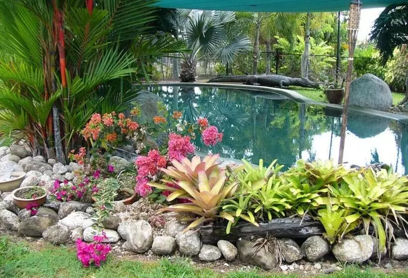 ホテル Daintree Wild Bed & Breakfast