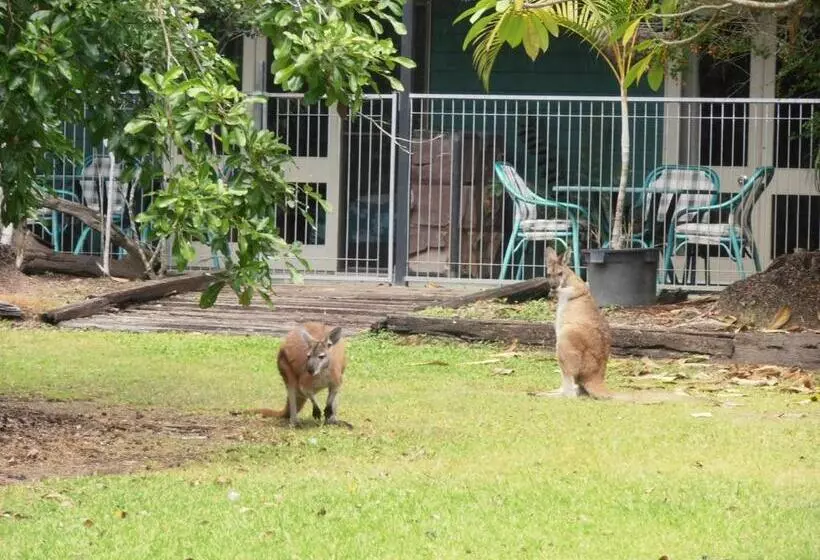 ホテル Daintree Wild Bed & Breakfast