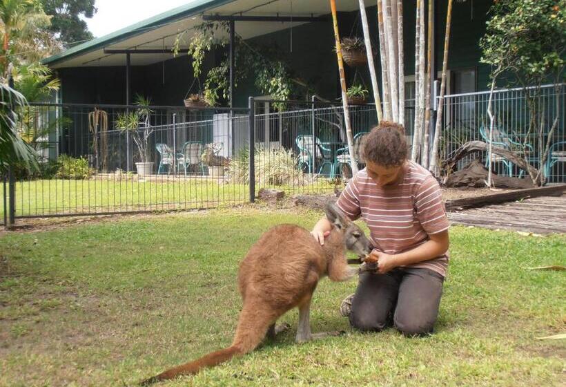 Отель Daintree Wild Bed & Breakfast