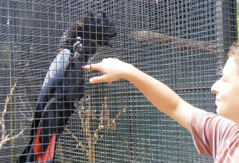 Отель Daintree Wild Bed & Breakfast