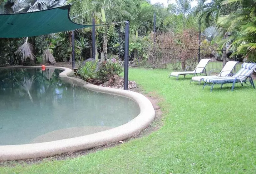 ホテル Daintree Wild Bed & Breakfast