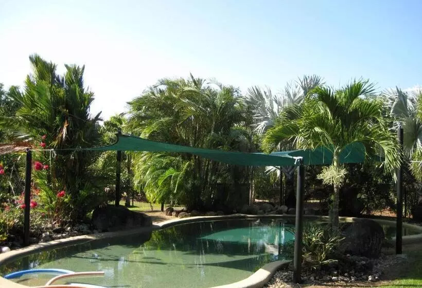 ホテル Daintree Wild Bed & Breakfast