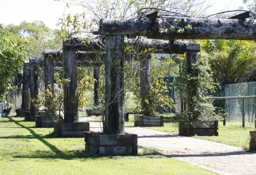ホテル Daintree Wild Bed & Breakfast