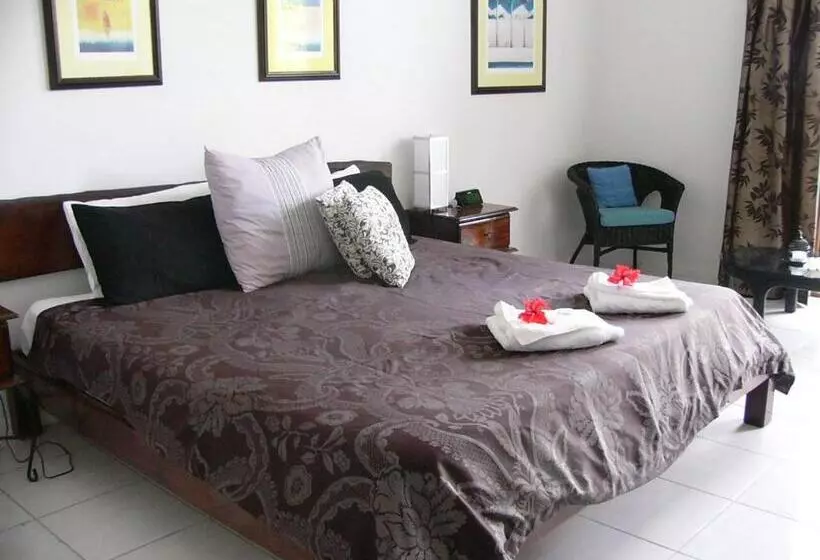 ホテル Daintree Wild Bed & Breakfast