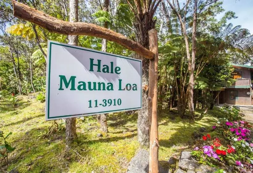ホテル Hale Mauna Loa