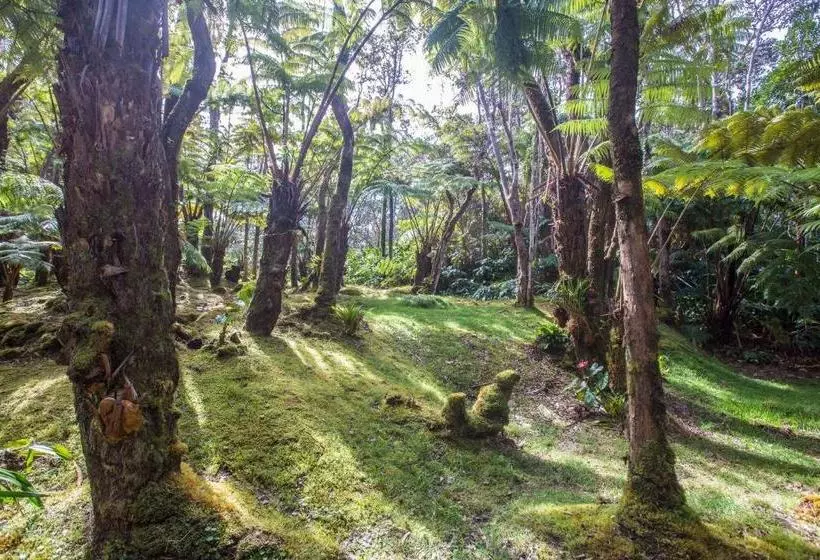 ホテル Hale Mauna Loa