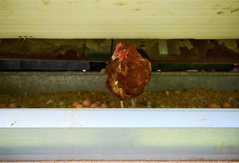 ホテル Schloss Und Gut Liebenberg