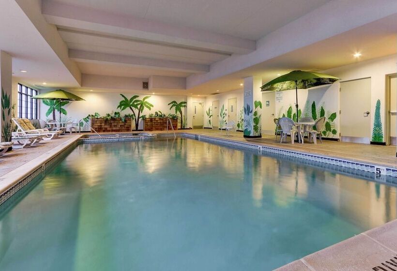 Downtown Traverse City Home Walk To Beaches!