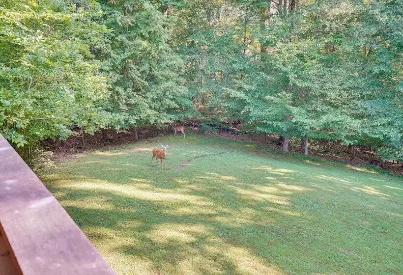 Rustic Retreat In Cadiz: On Lake Barkley