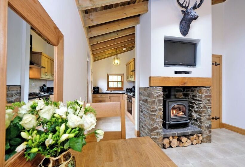 ベッドアンドブレックファースト Castleview Apartments