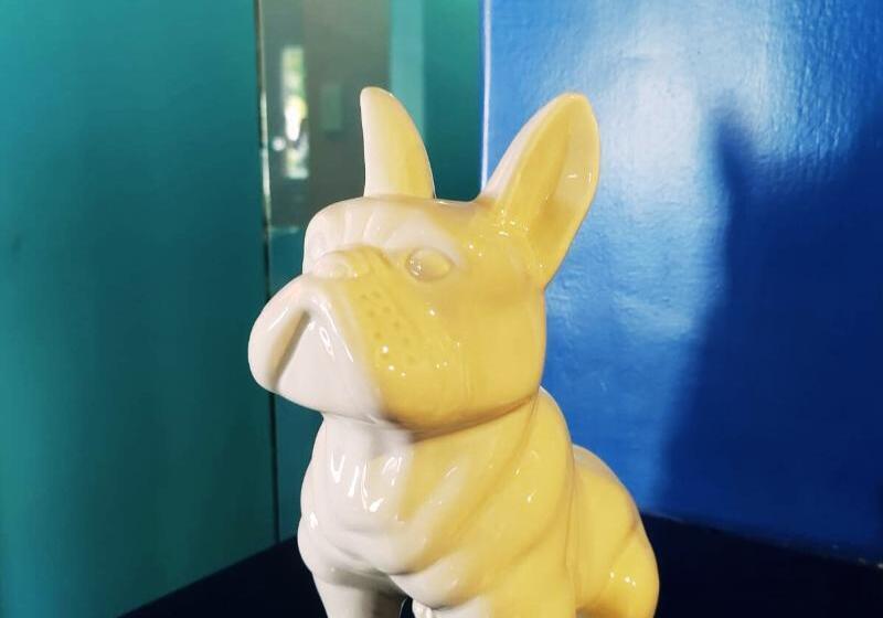 فندق Windsor Mendoza