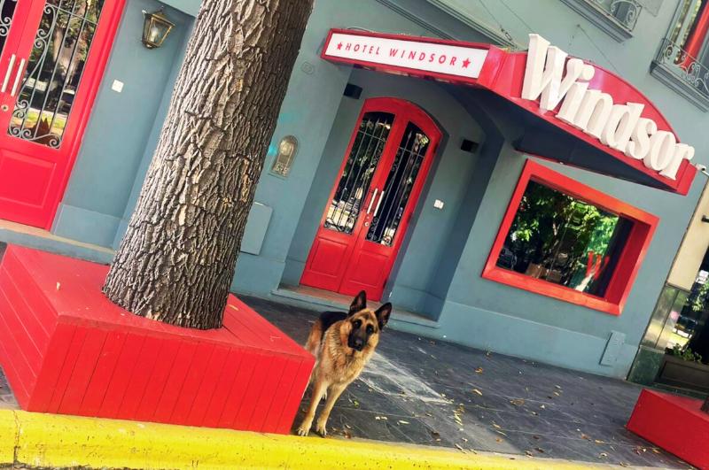 בית מלון כפרי Windsor Mendoza