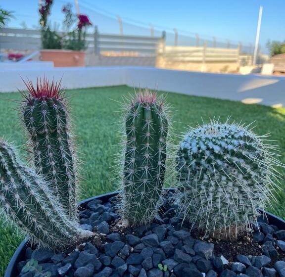 Octavia Comfort Bungalows With Amazing View