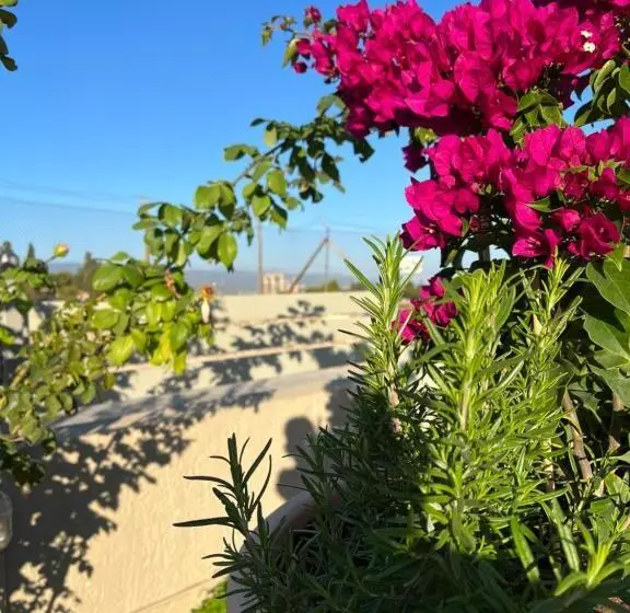 Octavia Comfort Bungalows With Amazing View