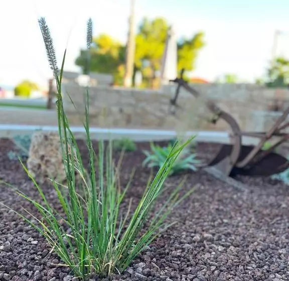 Octavia Comfort Bungalows With Amazing View