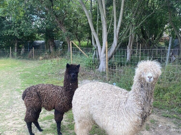 ペンション Le Clos Luly