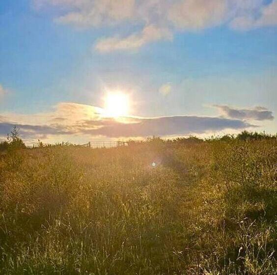 住所 Re Vive At Rhigos Zip World,pen Y Fan, Waterfalls
