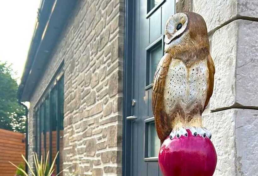 住所 Re Vive At Rhigos Zip World,pen Y Fan, Waterfalls