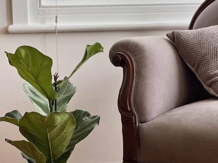 اقامتگاه Stunning Victorian Mansion Apartment