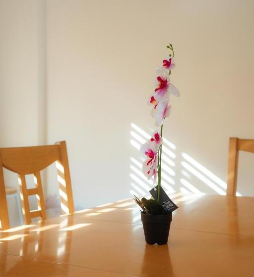 Bed and Breakfast Victorian Woods Bnb