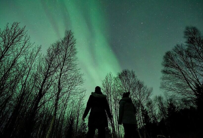 Hostel Zenith Basecamp