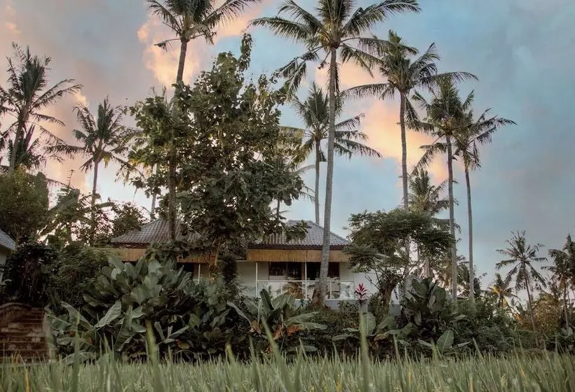 Hotelli Hot Stone Club Ubud