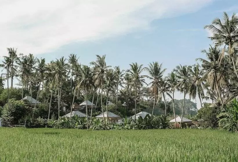 Hotelli Hot Stone Club Ubud
