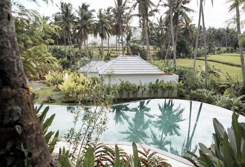 酒店 Hot Stone Club Ubud