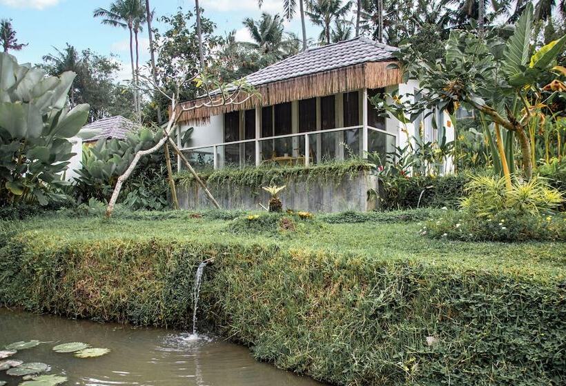 酒店 Hot Stone Club Ubud