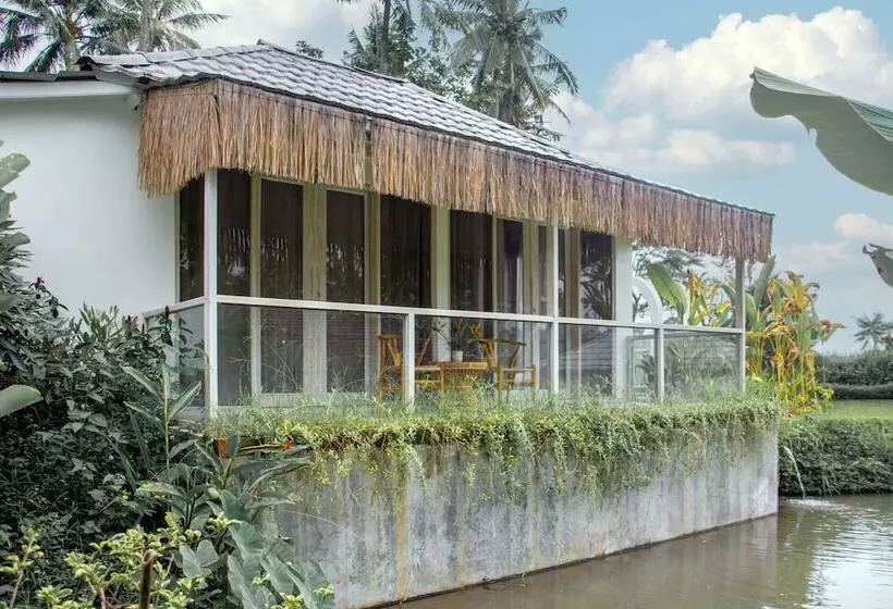 Hotelli Hot Stone Club Ubud