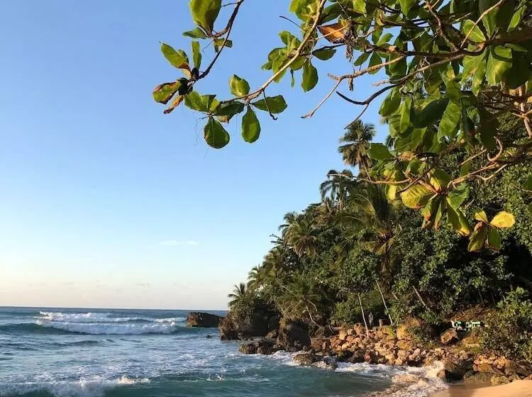 Hotelli Surfbreak B&b