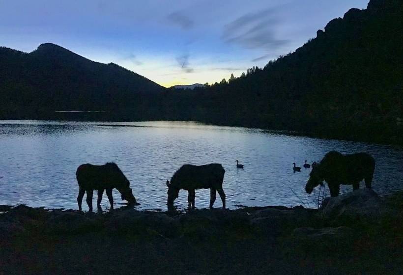 Mountain Shadows Resort