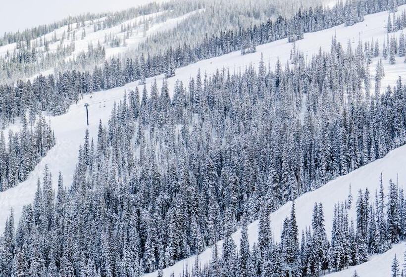 The Innsbruck Aspen By Frias