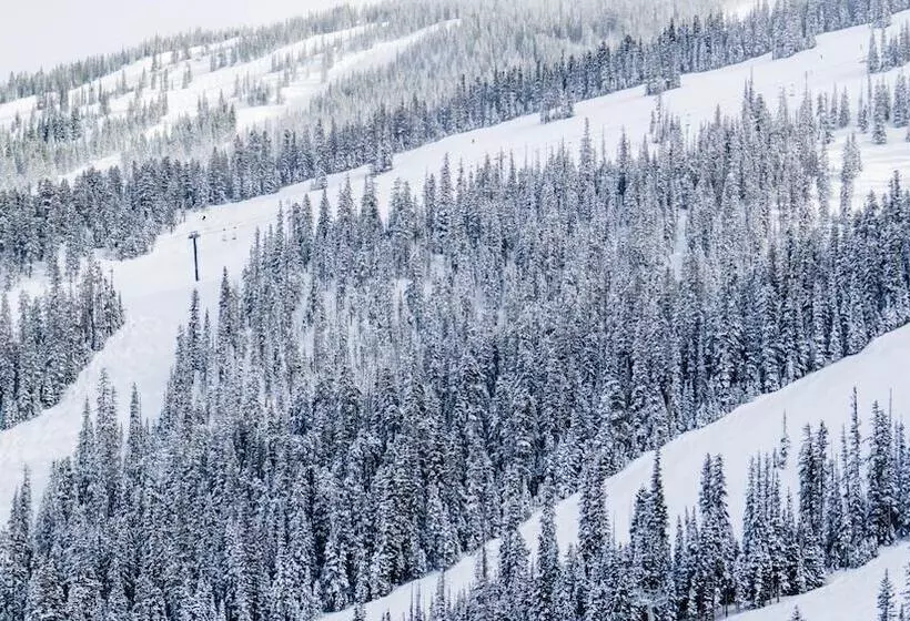 The Innsbruck Aspen By Frias