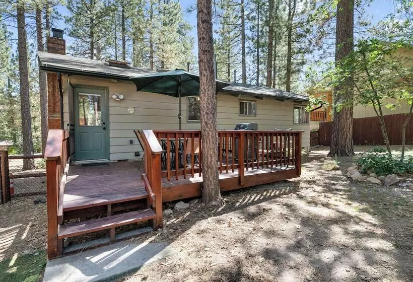 The Oasis Chalet
