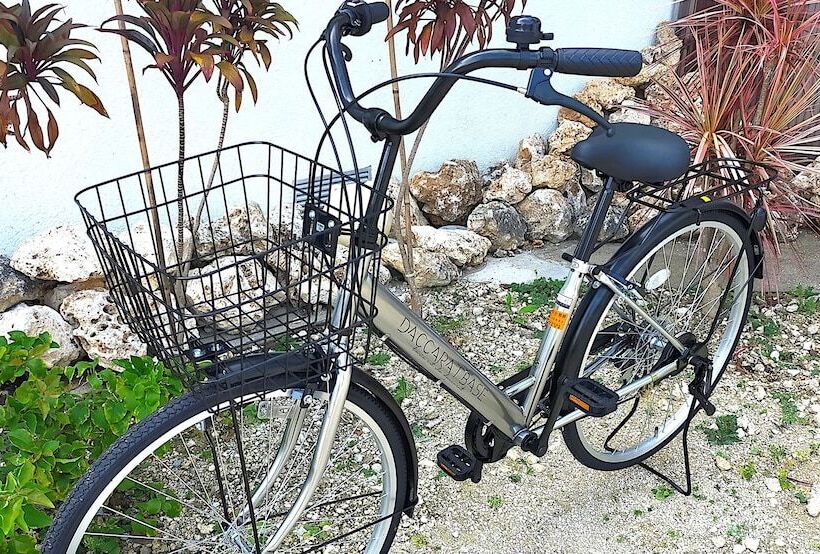 Guesthouse Re Spect   Hostel